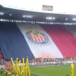 Meet your Posher, Antonio